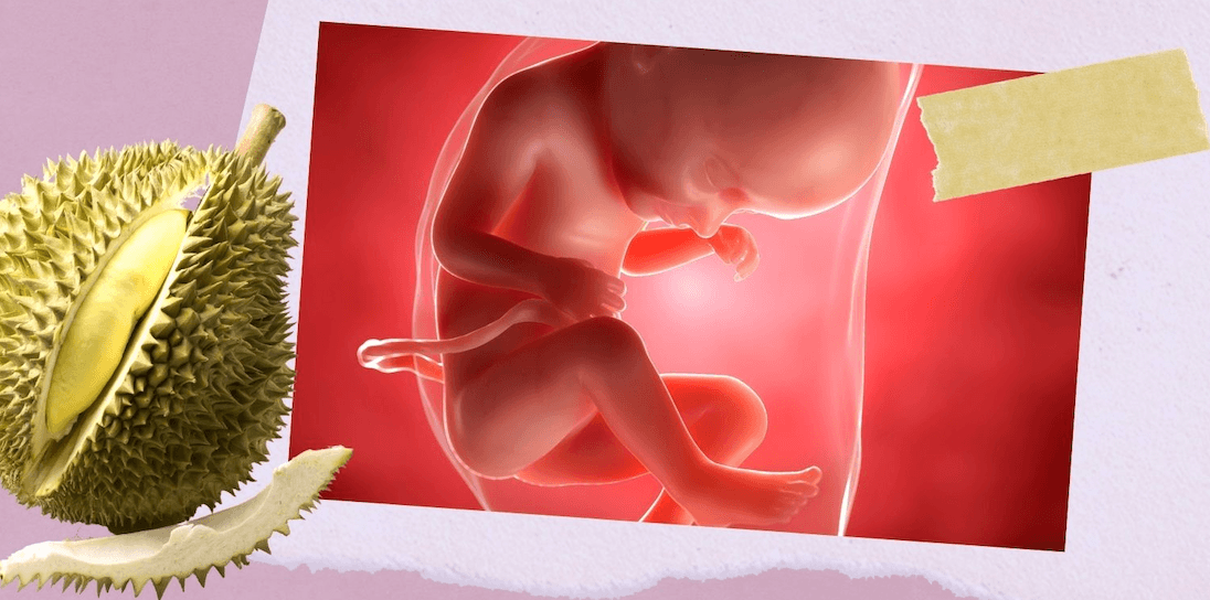 Week 33